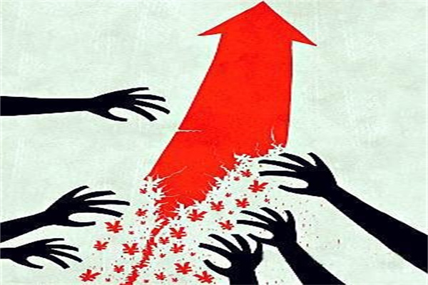 一树生三花，顶天又立地！梦之蓝·手工班战略升级再起舞