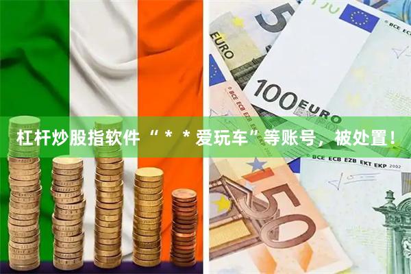 杠杆炒股指软件 “＊＊爱玩车”等账号，被处置！
