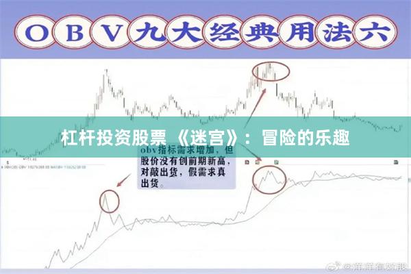 杠杆投资股票 《迷宫》：冒险的乐趣