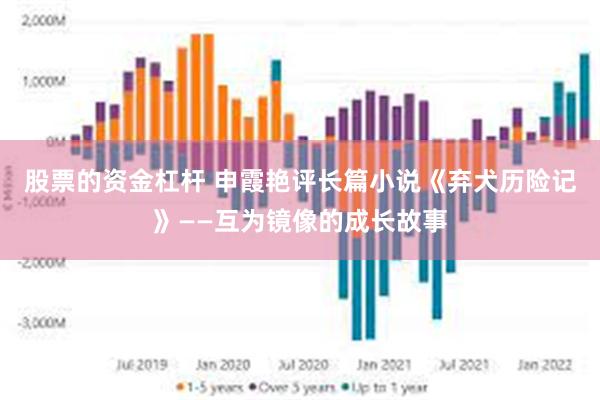 股票的资金杠杆 申霞艳评长篇小说《弃犬历险记》——互为镜像的成长故事