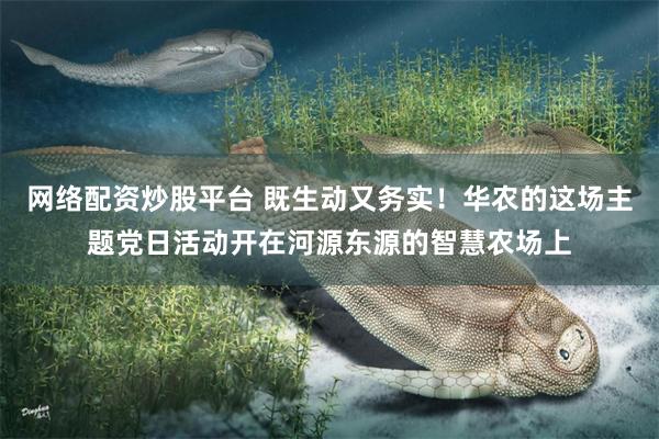 网络配资炒股平台 既生动又务实！华农的这场主题党日活动开在河源东源的智慧农场上