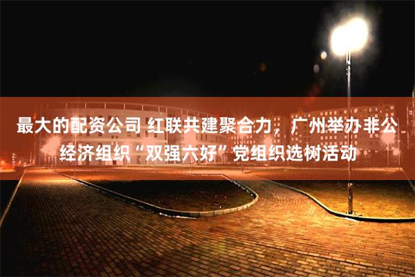 最大的配资公司 红联共建聚合力，广州举办非公经济组织“双强六好”党组织选树活动