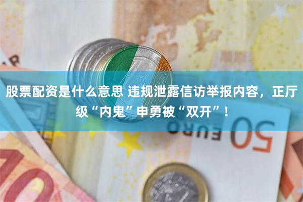 股票配资是什么意思 违规泄露信访举报内容，正厅级“内鬼”申勇被“双开”！