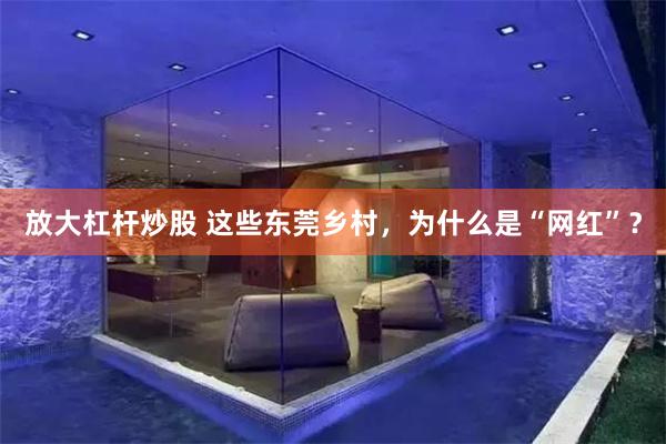 放大杠杆炒股 这些东莞乡村，为什么是“网红”？