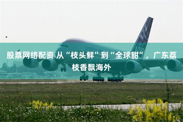 股票网络配资 从“枝头鲜”到“全球甜”，广东荔枝香飘海外
