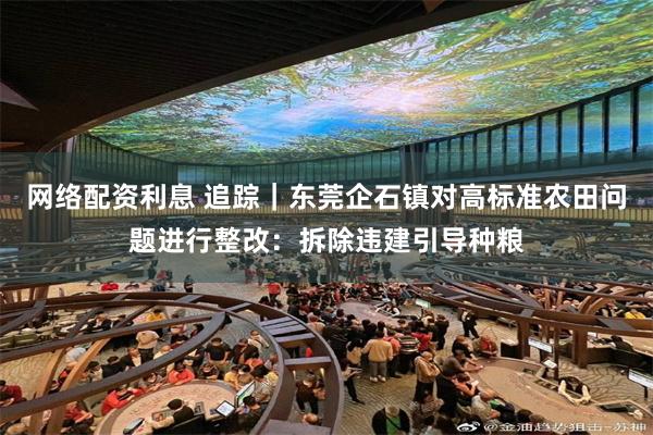 网络配资利息 追踪｜东莞企石镇对高标准农田问题进行整改：拆除违建引导种粮