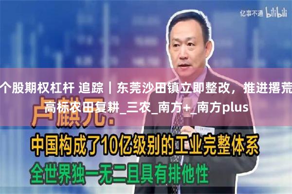 个股期权杠杆 追踪｜东莞沙田镇立即整改，推进撂荒高标农田复耕_三农_南方+_南方plus
