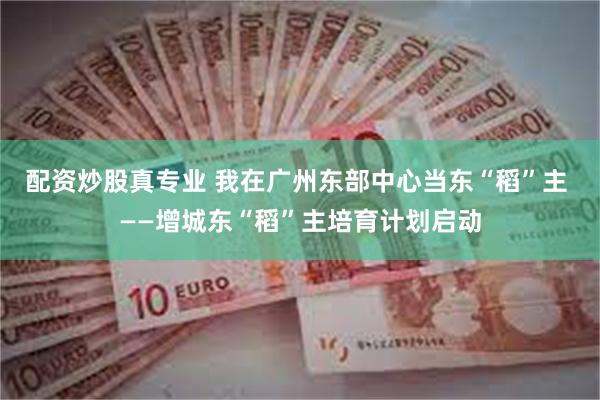 配资炒股真专业 我在广州东部中心当东“稻”主 ——增城东“稻”主培育计划启动
