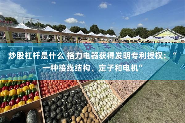 炒股杠杆是什么 格力电器获得发明专利授权：“一种接线结构、定子和电机”