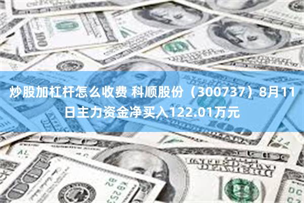 炒股加杠杆怎么收费 科顺股份（300737）8月11日主力资金净买入122.01万元