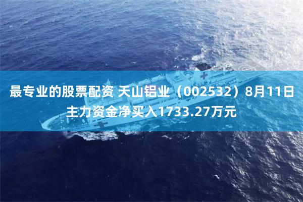 最专业的股票配资 天山铝业（002532）8月11日主力资金净买入1733.27万元