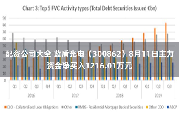 配资公司大全 蓝盾光电(300862)8月11日主力资金净买入1216.01万元