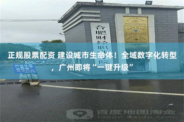 正规股票配资 建设城市生命体！全域数字化转型，广州即将“一键升级”