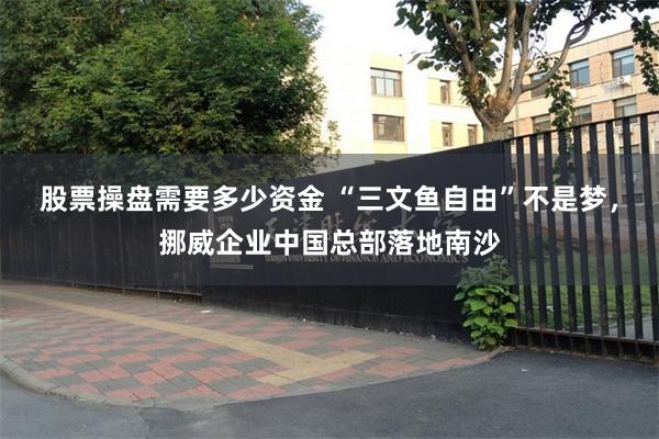 股票操盘需要多少资金 “三文鱼自由”不是梦,挪威企业中国总部落地南沙