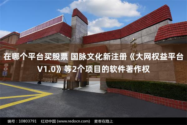 在哪个平台买股票 国脉文化新注册《大网权益平台V1.0》等2个项目的软件著作权