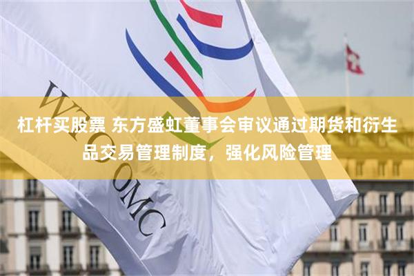 杠杆买股票 东方盛虹董事会审议通过期货和衍生品交易管理制度，强化风险管理