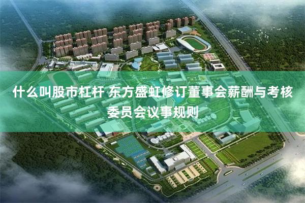 什么叫股市杠杆 东方盛虹修订董事会薪酬与考核委员会议事规则