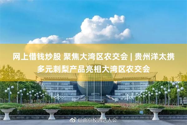 网上借钱炒股 聚焦大湾区农交会 | 贵州洋太携多元刺梨产品亮相大湾区农交会