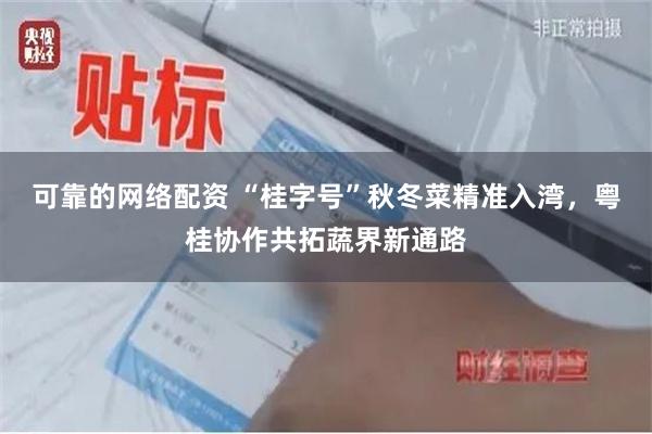 可靠的网络配资 “桂字号”秋冬菜精准入湾，粤桂协作共拓蔬界新通路