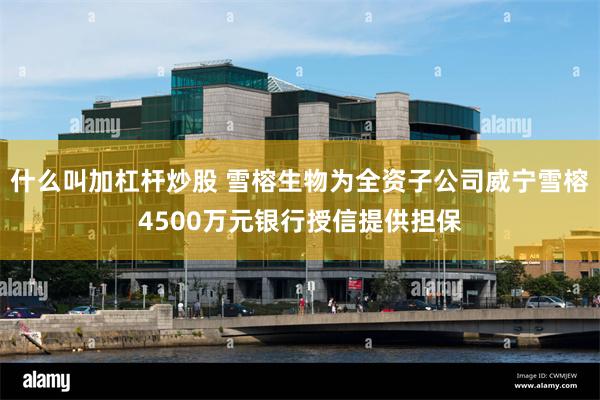 什么叫加杠杆炒股 雪榕生物为全资子公司威宁雪榕4500万元银行授信提供担保