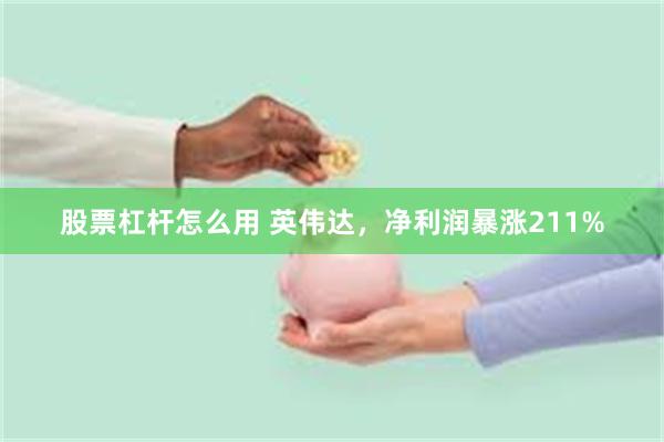 股票杠杆怎么用 英伟达，净利润暴涨211%