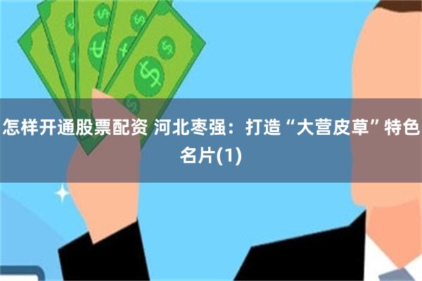 怎样开通股票配资 河北枣强：打造“大营皮草”特色名片(1)