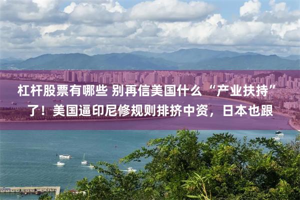 杠杆股票有哪些 别再信美国什么 “产业扶持” 了!美国逼印尼修规则排挤中资,日本也跟