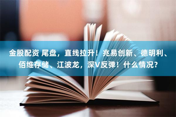 金股配资 尾盘，直线拉升！兆易创新、德明利、佰维存储、江波龙，深V反弹！什么情况？