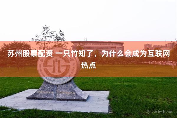 苏州股票配资 一只竹知了，为什么会成为互联网热点