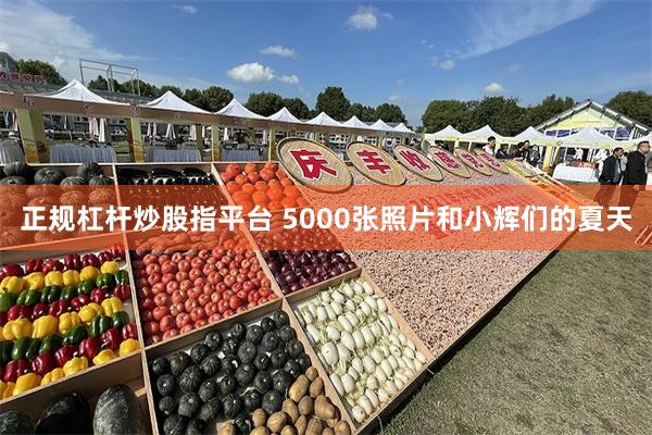 正规杠杆炒股指平台 5000张照片和小辉们的夏天