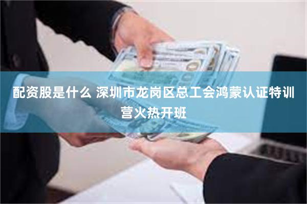 配资股是什么 深圳市龙岗区总工会鸿蒙认证特训营火热开班