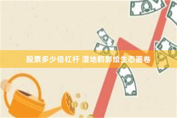 股票多少倍杠杆 湿地鹤影绘生态画卷