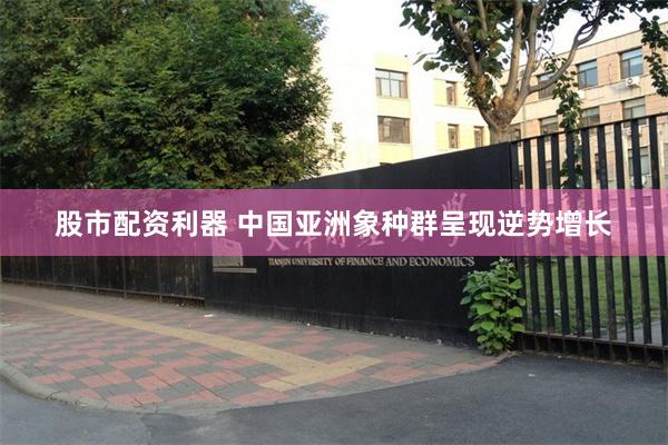 股市配资利器 中国亚洲象种群呈现逆势增长