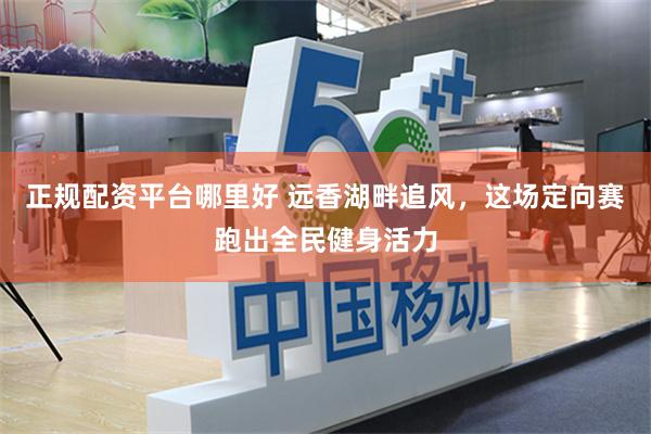 正规配资平台哪里好 远香湖畔追风，这场定向赛跑出全民健身活力