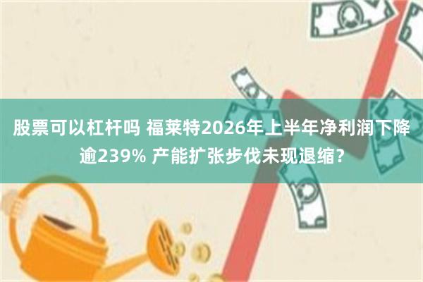 股票可以杠杆吗 福莱特2026年上半年净利润下降逾239% 产能扩张步伐未现退缩？