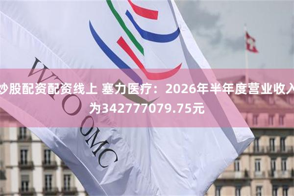 炒股配资配资线上 塞力医疗：2026年半年度营业收入为342777079.75元
