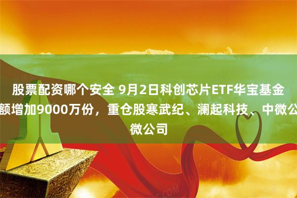 股票配资哪个安全 9月2日科创芯片ETF华宝基金份额增加9000万份，重仓股寒武纪、澜起科技、中微公司