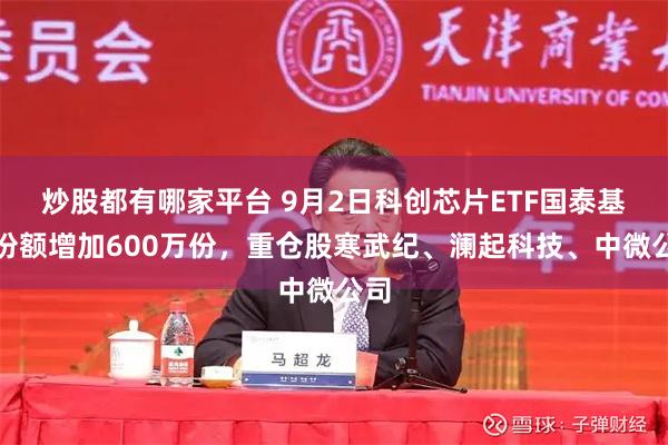 炒股都有哪家平台 9月2日科创芯片ETF国泰基金份额增加600万份，重仓股寒武纪、澜起科技、中微公司