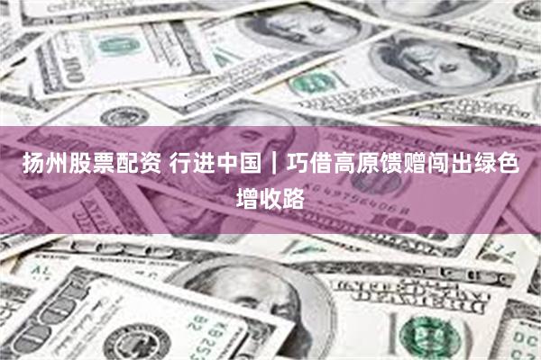 扬州股票配资 行进中国｜巧借高原馈赠闯出绿色增收路
