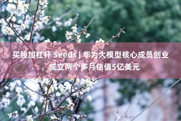 买股加杠杆 Seeds | 华为大模型核心成员创业，成立两个多月估值5亿美元