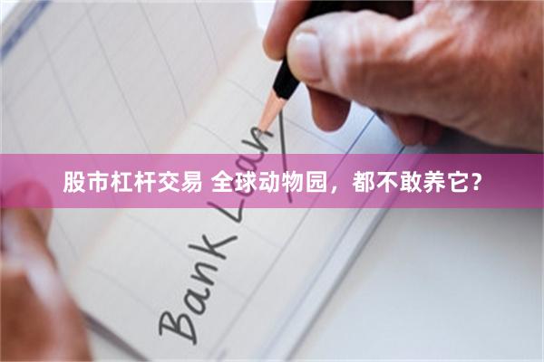 股市杠杆交易 全球动物园，都不敢养它？