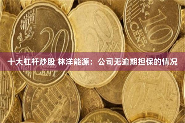 十大杠杆炒股 林洋能源：公司无逾期担保的情况