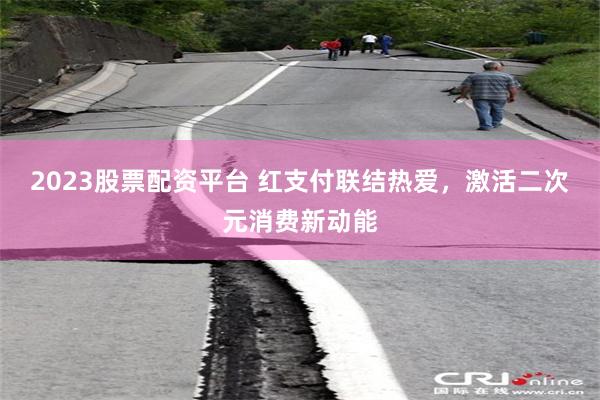 2023股票配资平台 红支付联结热爱，激活二次元消费新动能