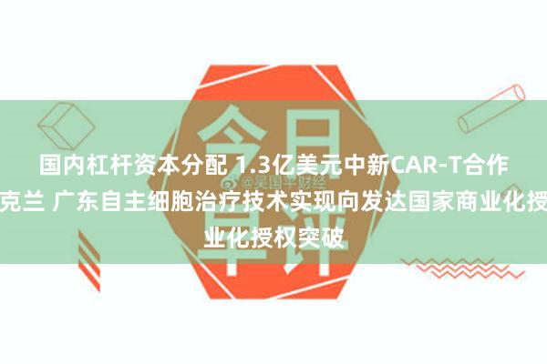 国内杠杆资本分配 1.3亿美元中新CAR-T合作落地奥克兰 广东自主细胞治疗技术实现向发达国家商业化授权突破